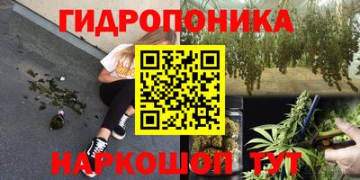 крисы Балахна