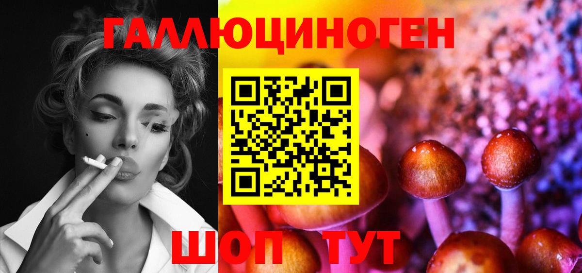 Губкин  Псилоцибиновые грибы прущие грибы  Вход с VPN 